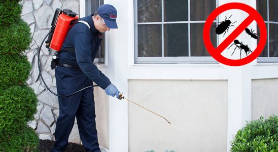 Denizli Dezenfeksiyon böcek ilaçlama ve haşere kontrolü — ilaclama-tr.com
